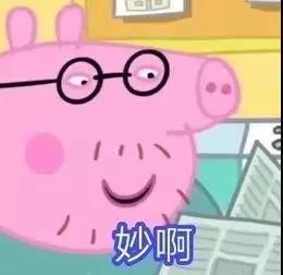 啥是佩奇？统统配齐！