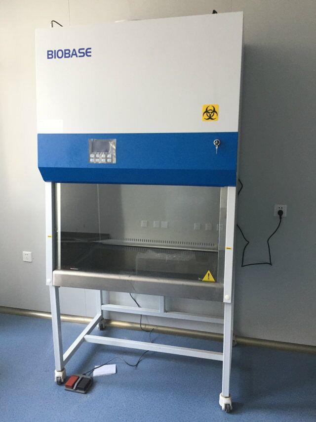 非洲猪瘟检测用生物安全柜---河南生物安全柜现货供应