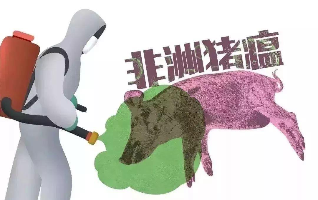 非洲猪瘟(ASF)检测解决方案+非洲猪瘟检测设备清单