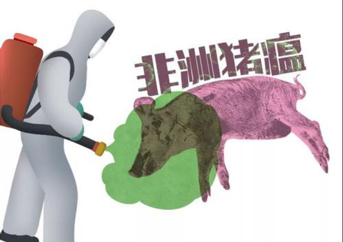 非洲猪瘟设备价格——农业部批准检测仪器